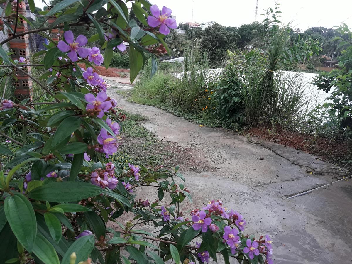 Be Home Hostel 두옹 동 외부 사진