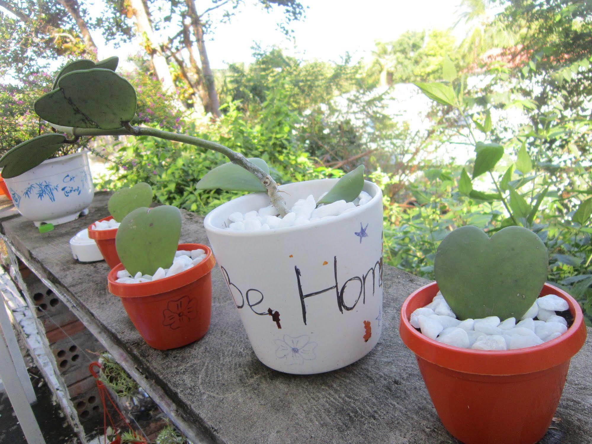 Be Home Hostel 두옹 동 외부 사진